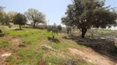 أراضي للبيع في بدر الجديدة حوض الكاشف