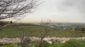 أراضي للبيع في أبو ركبة
