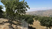 أرض للبيع في حي الميدا