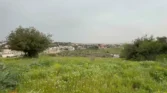 أرض للبيع في رأس الجندي - أطراف دابوق