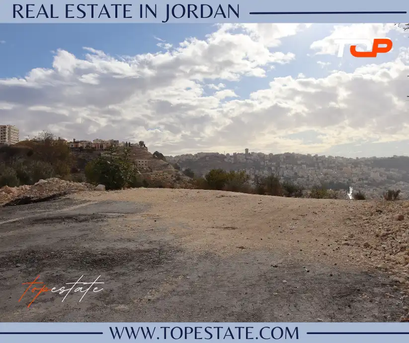 الرباحية الجنوبية بدر الجديدة