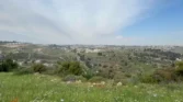 بدر الجديدة أرض استثمارية للبيع