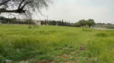 أراضي للبيع في حي الأميرات بدر الجديدة